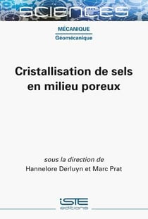 Cristallisation de sels en milieu poreux