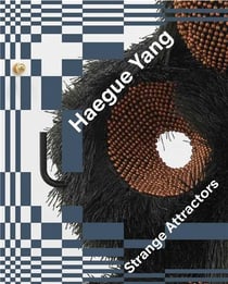 Haegue yang strange attractors