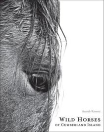 Wilde horses of Cumberland island