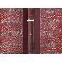 Mademoiselle de choisy