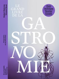 Le grand livre de la gastronomie française : chefs, techniques, recettes, conseils