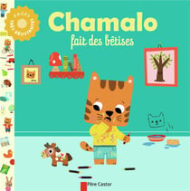 Chamalo fait des betises