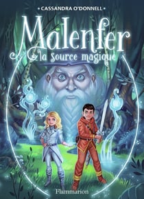 Malenfer Tome 2 : la source magique