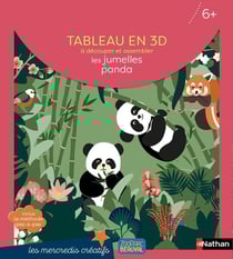 Beauval : pochette tableau en 3D : les jumelles panda