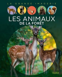 Les animaux de la forêt
