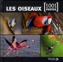 Les Oiseaux En 1001 Photos