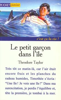 Le petit garcon dans l'ile