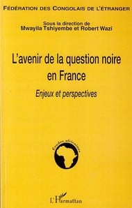 L'avenir de la question noire en france - enjeux et perspectives
