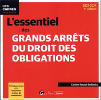 L'essentiel des grands arrêts du droit des obligations : 80 fiches d'arrêts avec propositions de plans de commentaire (édition 2023/2024)