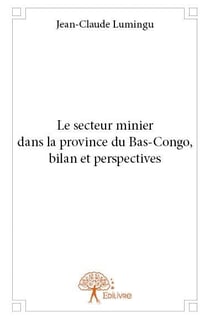 Le secteur minier dans la province du Bas-Congo - bilan et perspectives