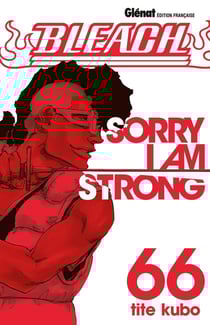 Bleach Tome 66 : sorry I am strong