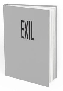 Exil de michael bunel