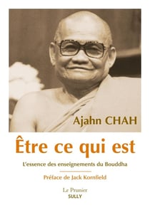 Être ce qui est - l'essence des enseignements du Bouddha