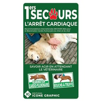 Premiers secours canins : L'arrêt cardiaque