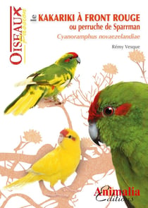 Le kakariki à front rouge ou perruche de Sparrman - cynoramphus novaezelandiae