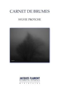 Carnet de brumes