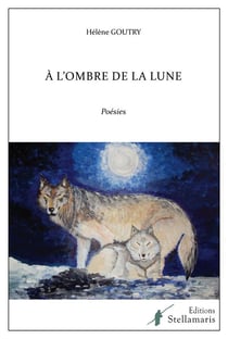 À l'ombre de la lune