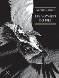 Le cycle des contrées Tome 3 - les voyages du fils
