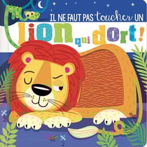 Il ne faut pas toucher : Un lion qui dort !