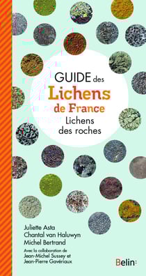 Guide des lichens de France : lichens des roches