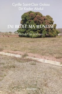 J'ai brûlé ma jeunesse : Recueil de poèmes