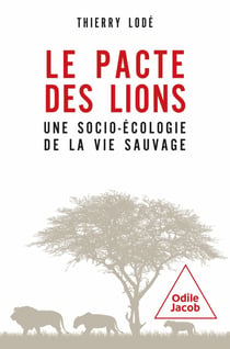 Le pacte des lions