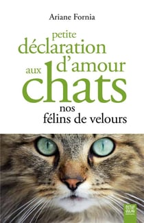 Petite déclaration d'amour aux chats, nos félins de velours