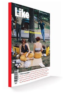 Like Hors-Série n°2 : Une conversation avec Joel Meyerowitz