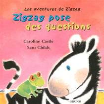 Zigzag pose des questions