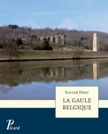 La gaule belgique.