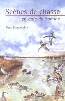 Scenes de chasse en baie de somme