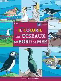 Je colorie - les oiseaux du bord de mer