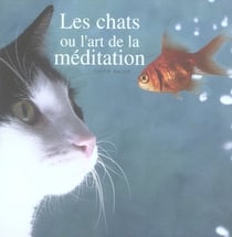 Les chats ou l'art de la méditation