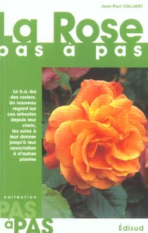 La rose