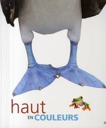 Haut en couleurs