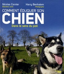 Comment éduquer son chien dans le sens du poil
