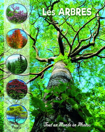 Tout un monde en photos : les arbres