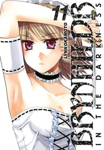 Brynhildr in the darkness Tome 11