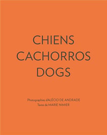 Chiens cachorros dogs