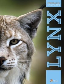 Le lynx