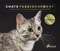 Chats passionnement