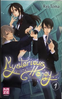 Mysterious honey Tome 1