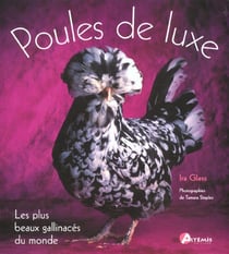 Les poules de luxe