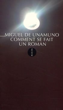 Comment se fait un roman