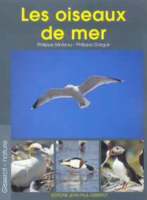 Les oiseaux de mer