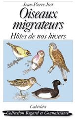 Oiseaux migrateurs - hôtes de nos hivers