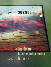 Une ombre dans les intempéries de l'oeil
