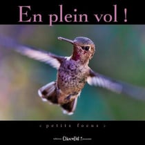 En plein vol !