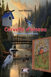 Cervelle d'oiseau : Victime du patriarcat