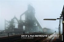 On n'a pas retrouvé l'oiseau